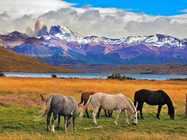 Patagonia Grand Adventure 2016